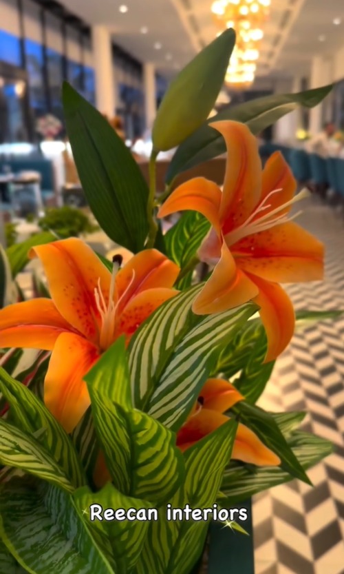 Best office interior design, Office interior designers in gurgaon, Co-Working Space Interior Gurgaon, Best Interior Designers Gurgaon